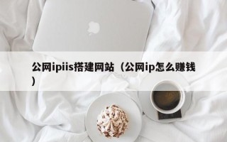 德州公网ipiis搭建网站（公网ip怎么赚钱）