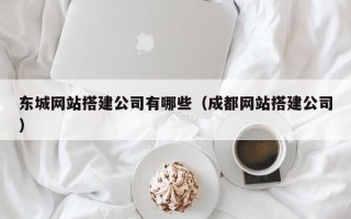德州东城网站搭建公司有哪些（成都网站搭建公司）